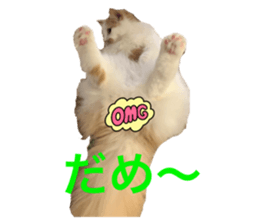 544776740