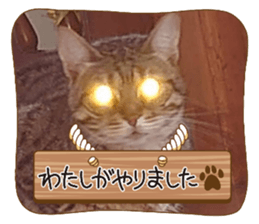 544791829