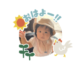 544793662
