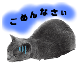 544795471