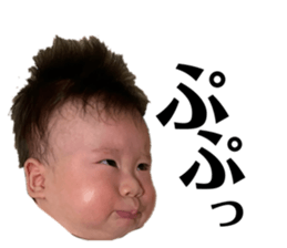 544811509
