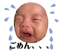 544912979