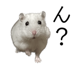 544916569