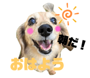 544928030