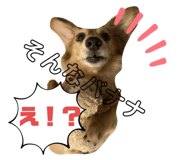 544928033