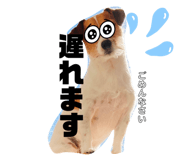 544928036