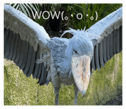 544929080