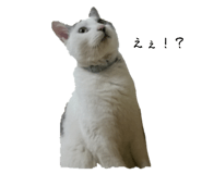 544931927