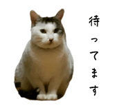 544931940