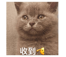 544932945