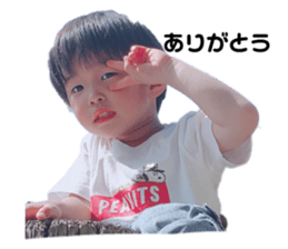 544948266