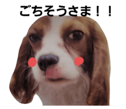 544967160