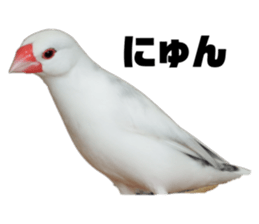 544989944