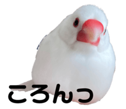 544989971