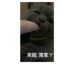 545070676