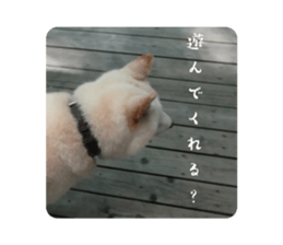 545122692