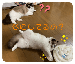 545123965