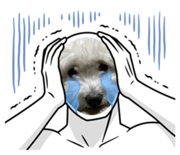 545130657