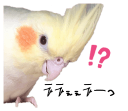 545144314