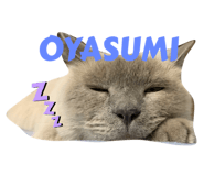 545155793