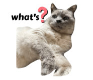 545155794