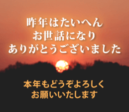 545165040