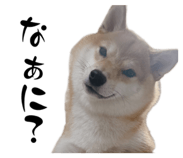 545182105
