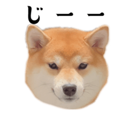 545182108