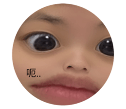 545208197