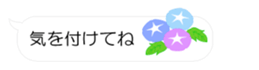 54522424