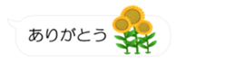 54522428