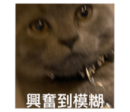 545235158