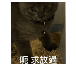 545235159