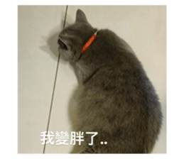 545235167