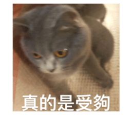 545235169