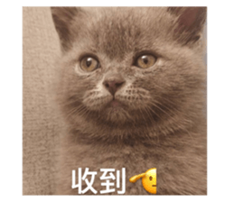 545240167