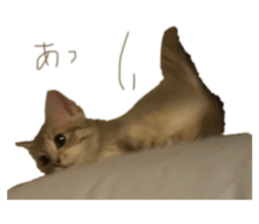 545284475