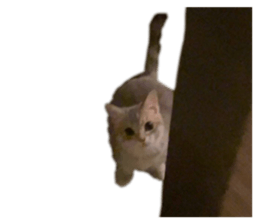 545284477