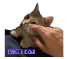 545284478