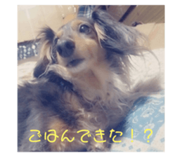 545302504