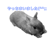 545364868