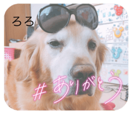 545368626