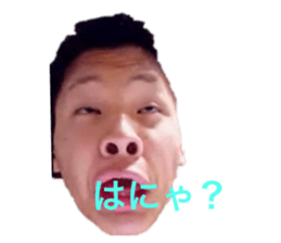 545371728