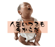545386951