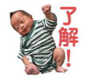 545386955