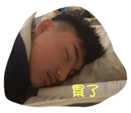545392940