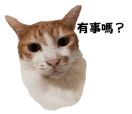 545392959