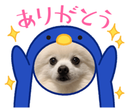 545402351