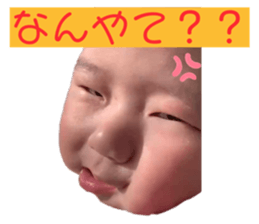 545430592