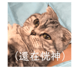 545432639